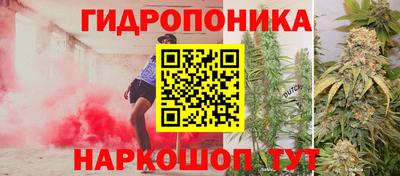 кокс Обь