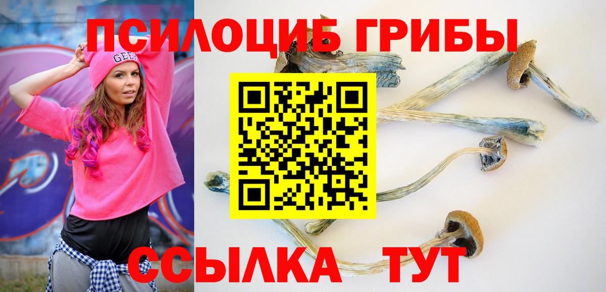 Сланцы  Галлюциногенные грибы ЛСД  Галлюциногенные грибы мицелий  Вход с VPN 