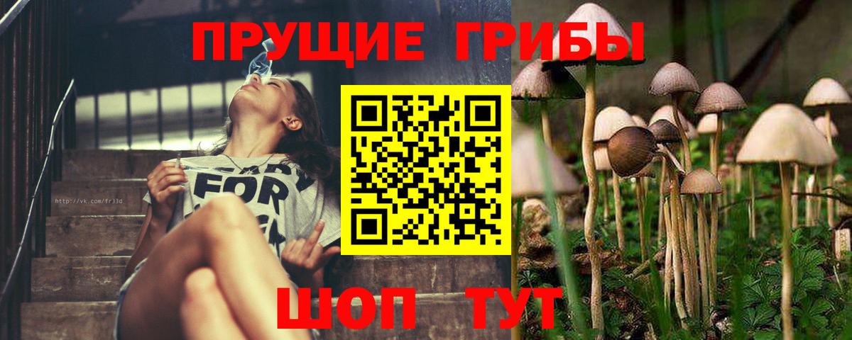 Галлюциногенные грибы мицелий Сланцы